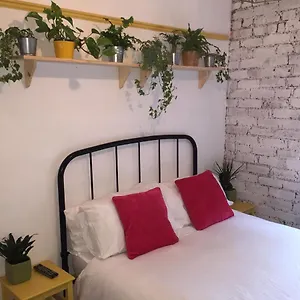 Clive Road Homestay Cardiff